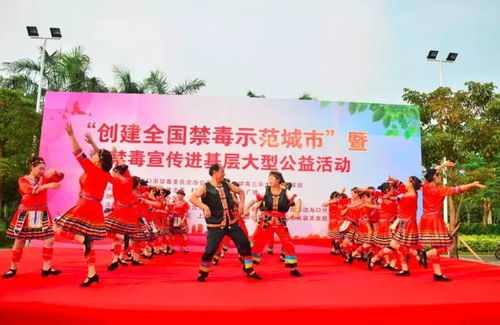 数字赋能禁毒宣传 创意软件开发助力新埠街道争创全国禁毒示范城市