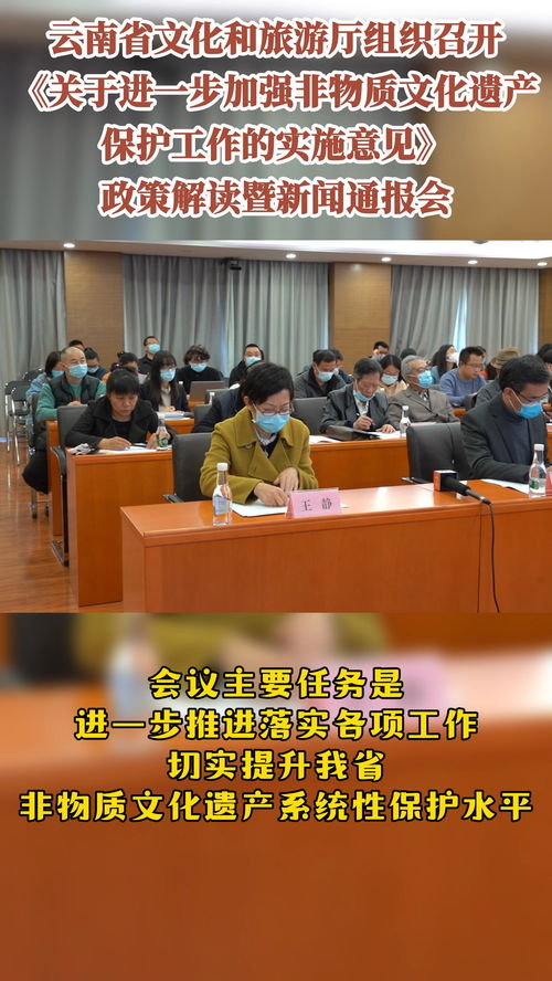 非物质文化遗产保护政策解读与文化艺术交流动态