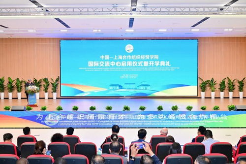 西安交大科教院赴青岛调研合作，共促数字文化创意软件开发