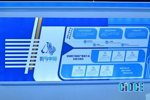 斑马中国 助力VJ师网版权资源交易变现，引领数字文化创意软件开发新潮流